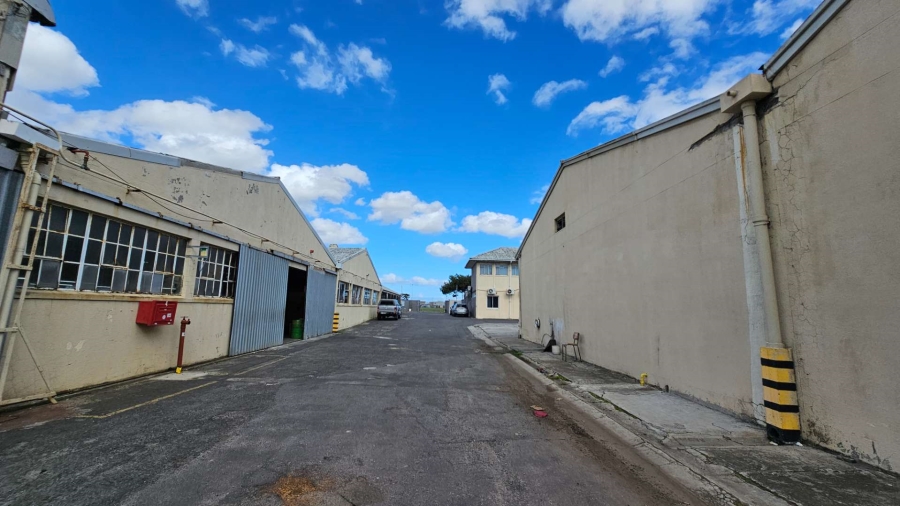 To Let commercial Property for Rent in Epping Industrial Western Cape